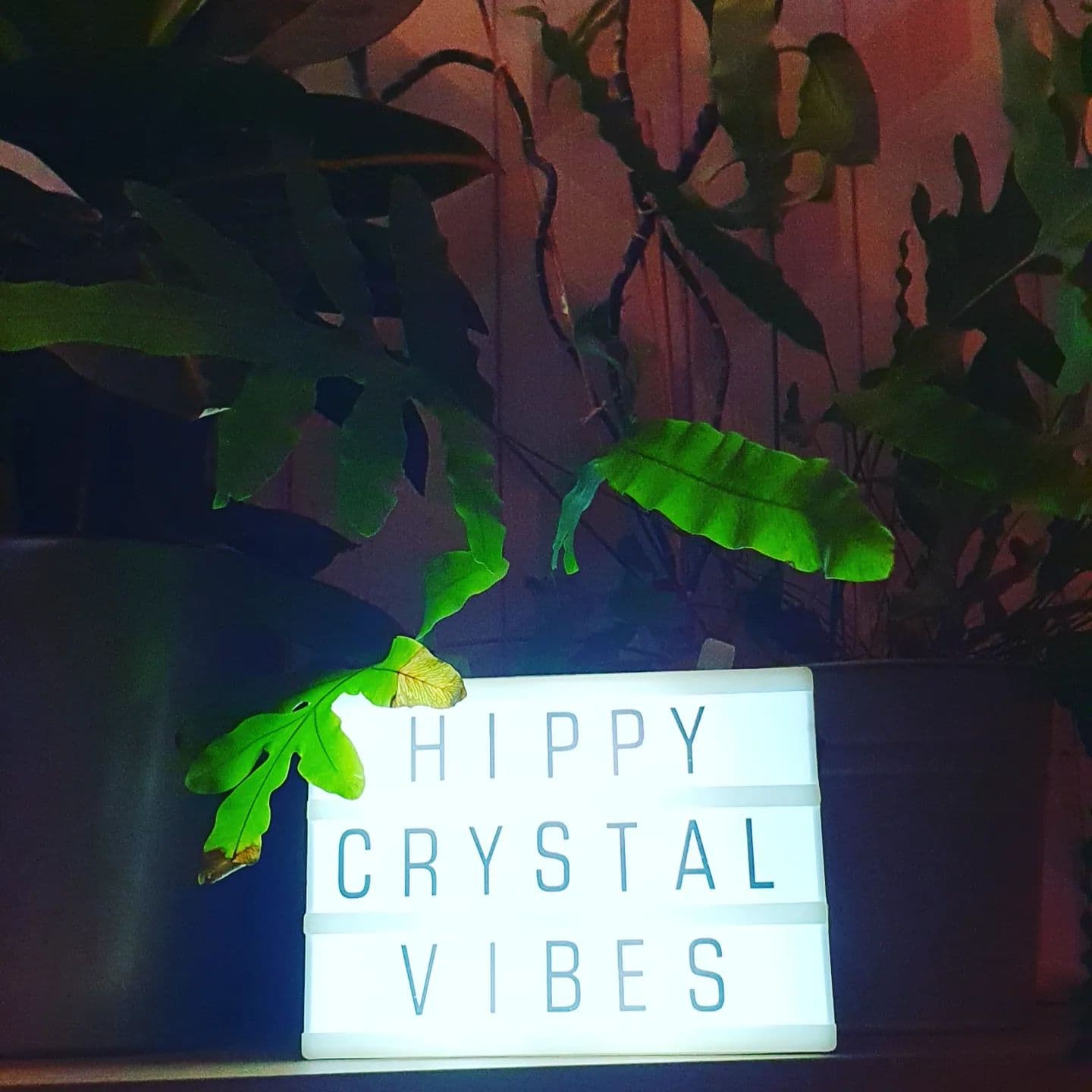 Hippy Crystal Vibes shop sign